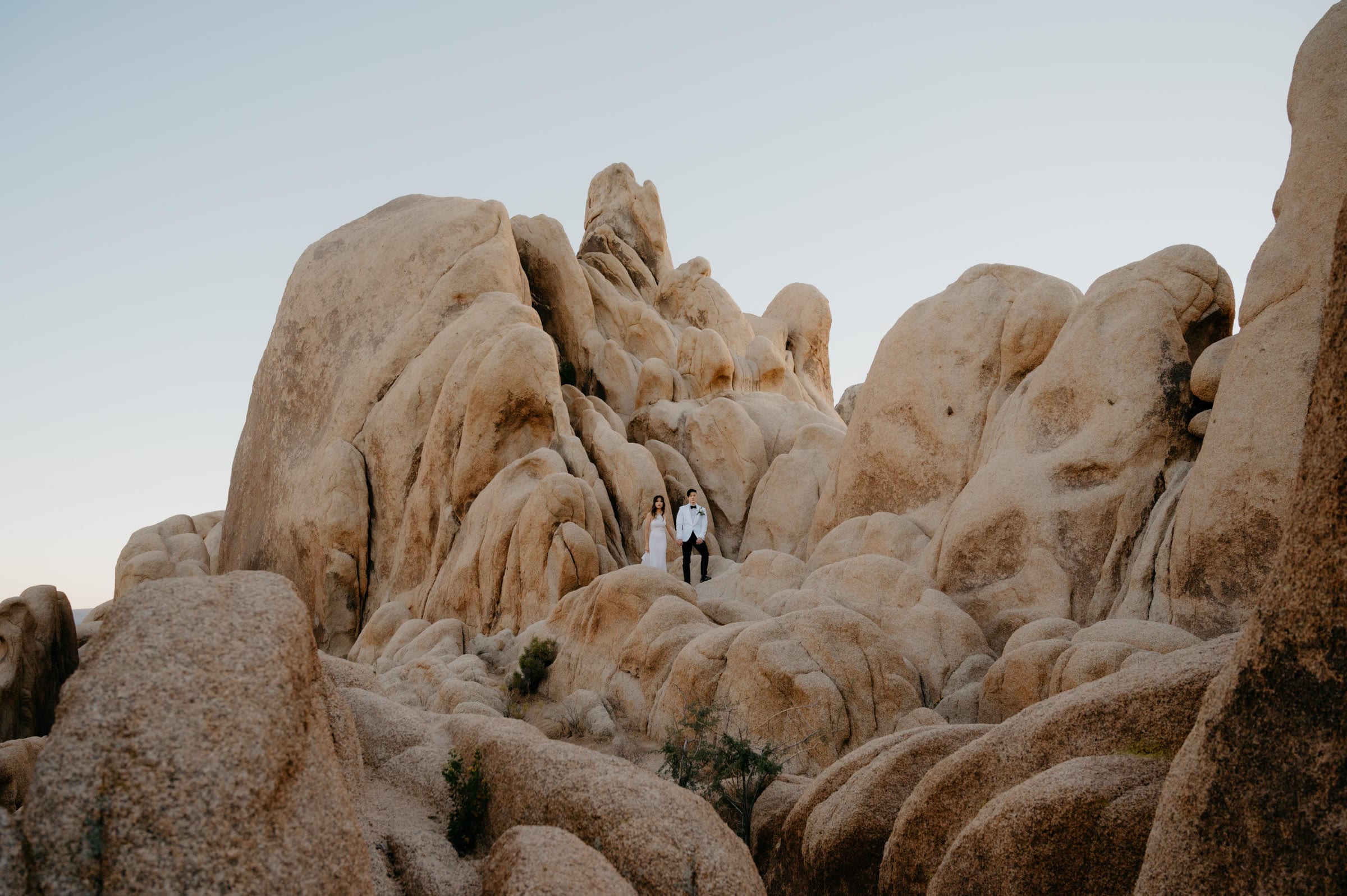 Twin Flames, Joshua Tree wedding photographers joshua tree elopement photographers, Destination Wedding Photographers and Videographers, mitch and savanna mitch colagrossi, savanna paige, mitch x savanna, mitch & savanna, mitch + savanna, colagrossi & co.,